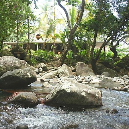 La Plaine Citrus Creek Plantation 빌라 외부 사진