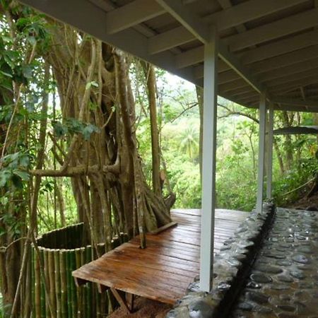 La Plaine Citrus Creek Plantation 빌라 외부 사진