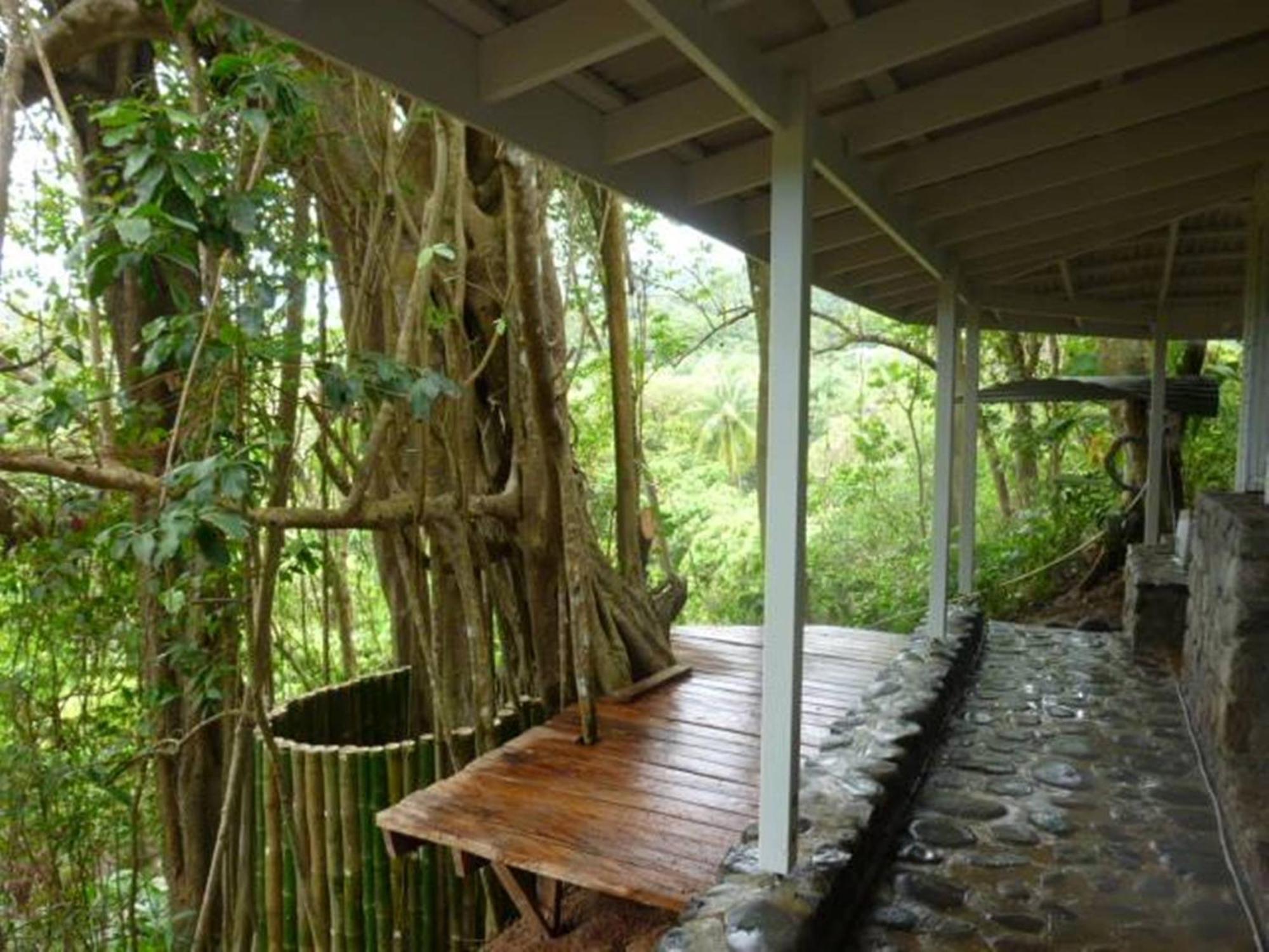 La Plaine Citrus Creek Plantation 빌라 외부 사진