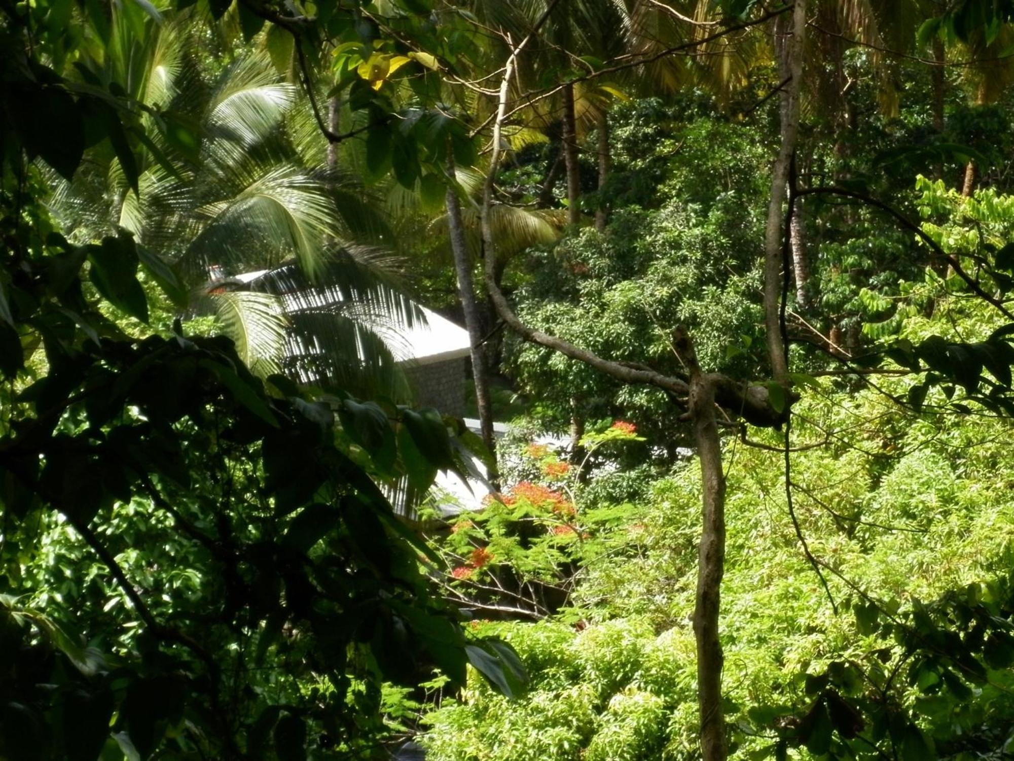La Plaine Citrus Creek Plantation 빌라 외부 사진