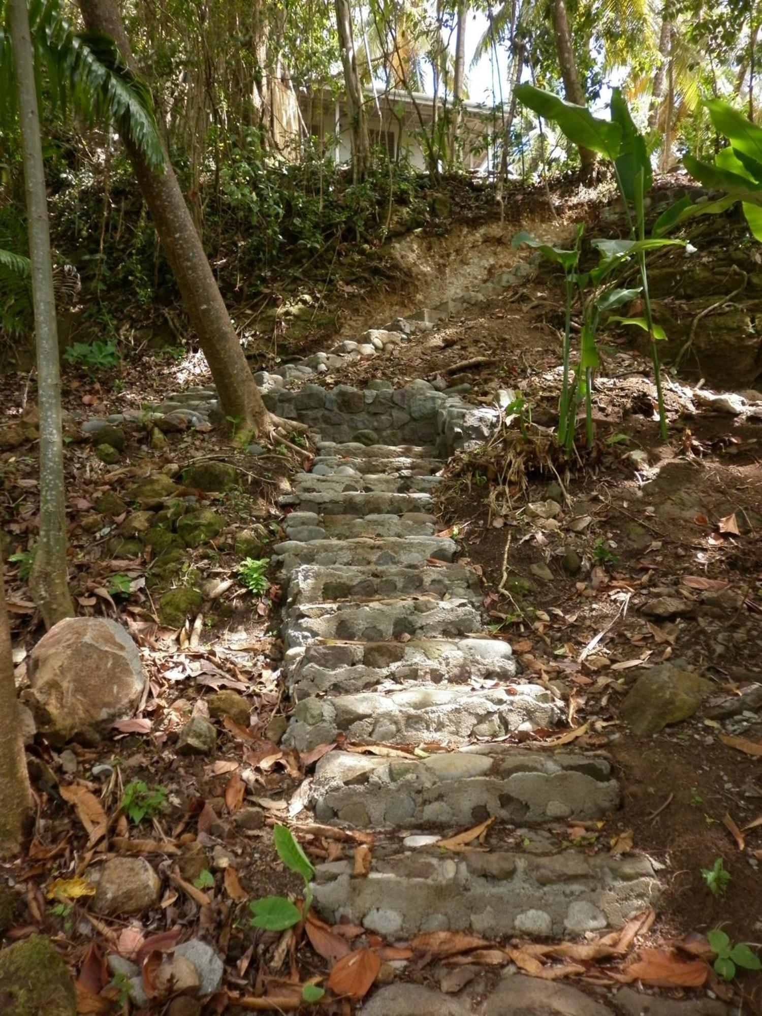 La Plaine Citrus Creek Plantation 빌라 외부 사진