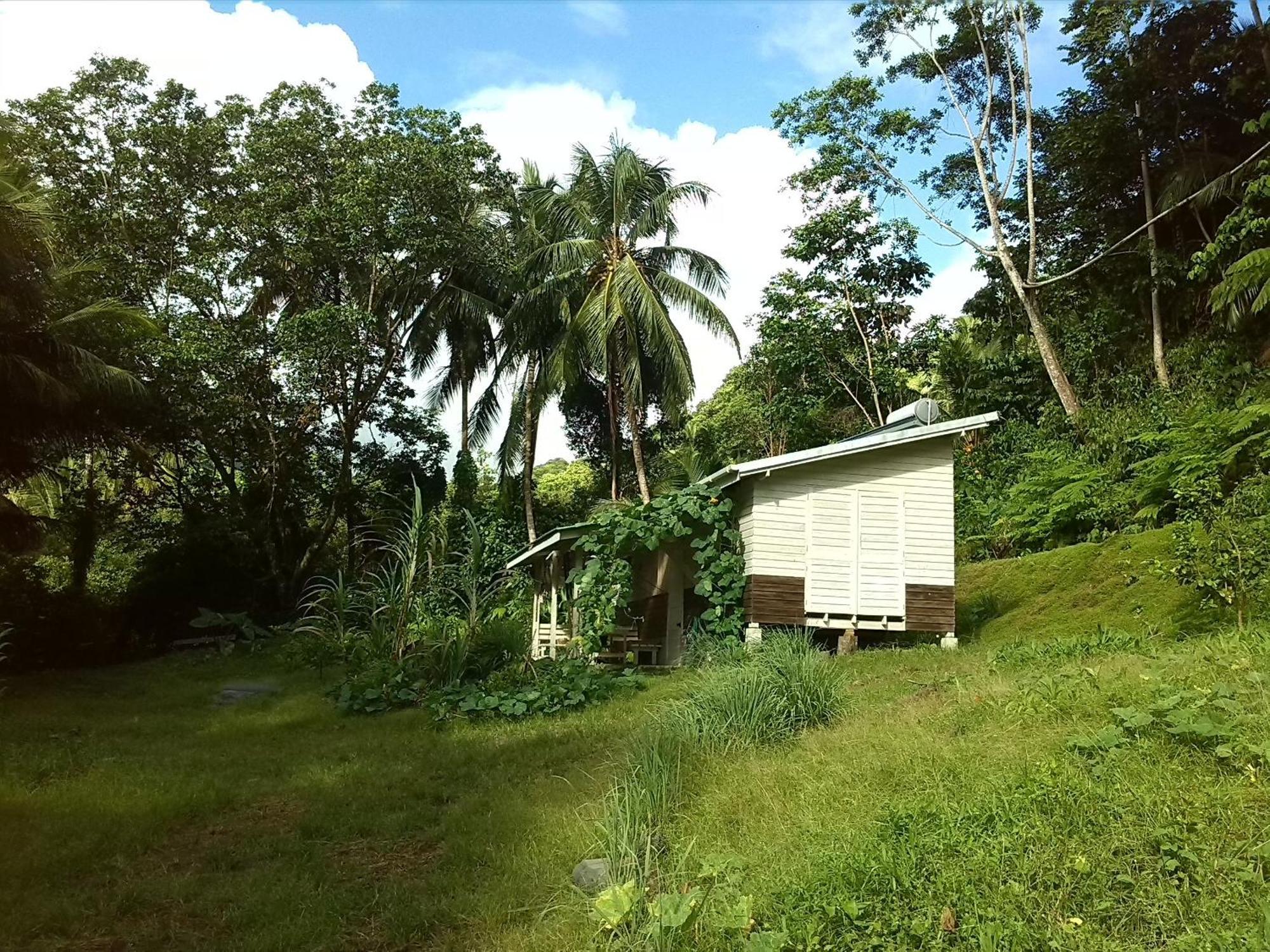 La Plaine Citrus Creek Plantation 빌라 객실 사진
