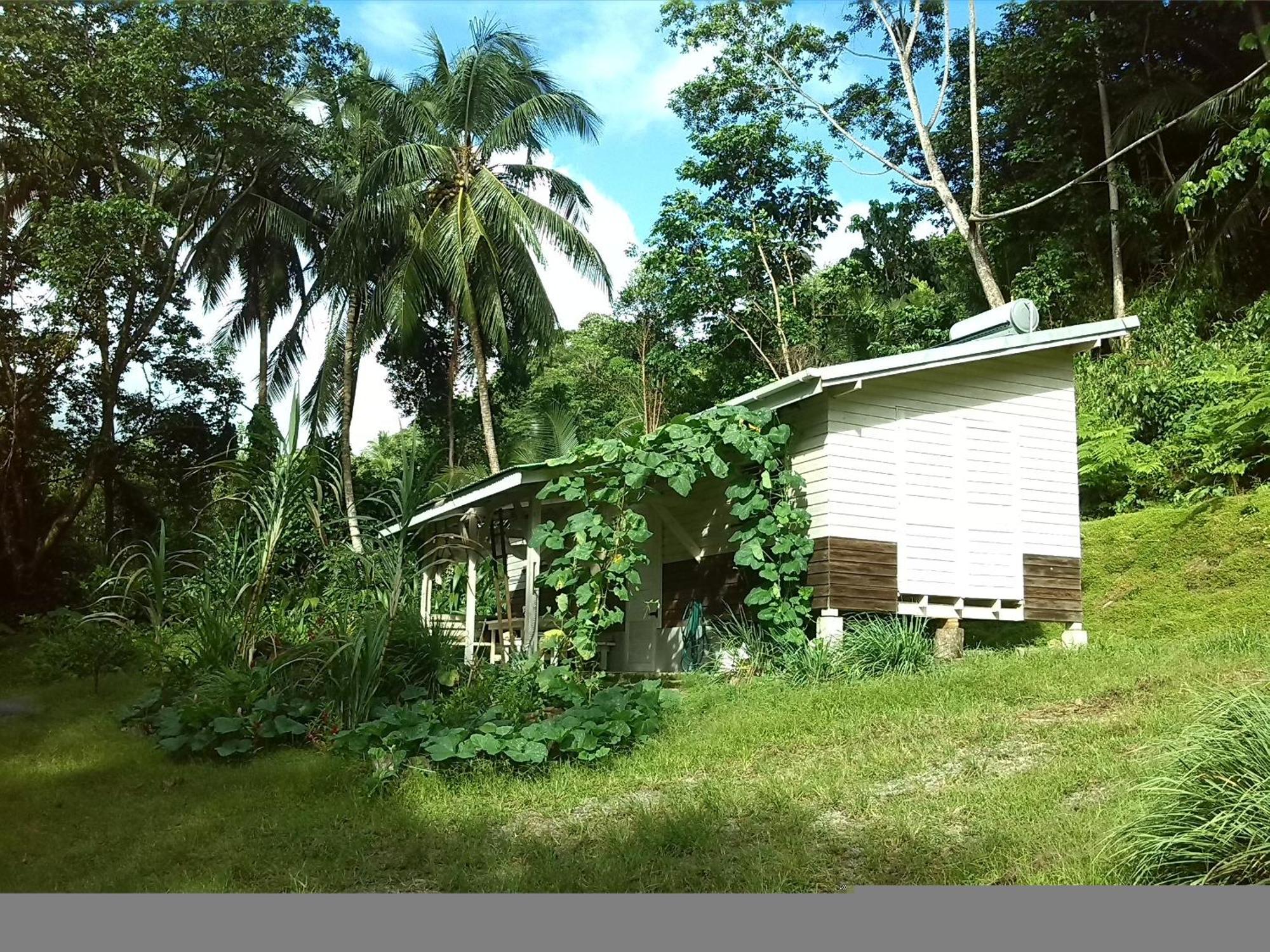 La Plaine Citrus Creek Plantation 빌라 객실 사진