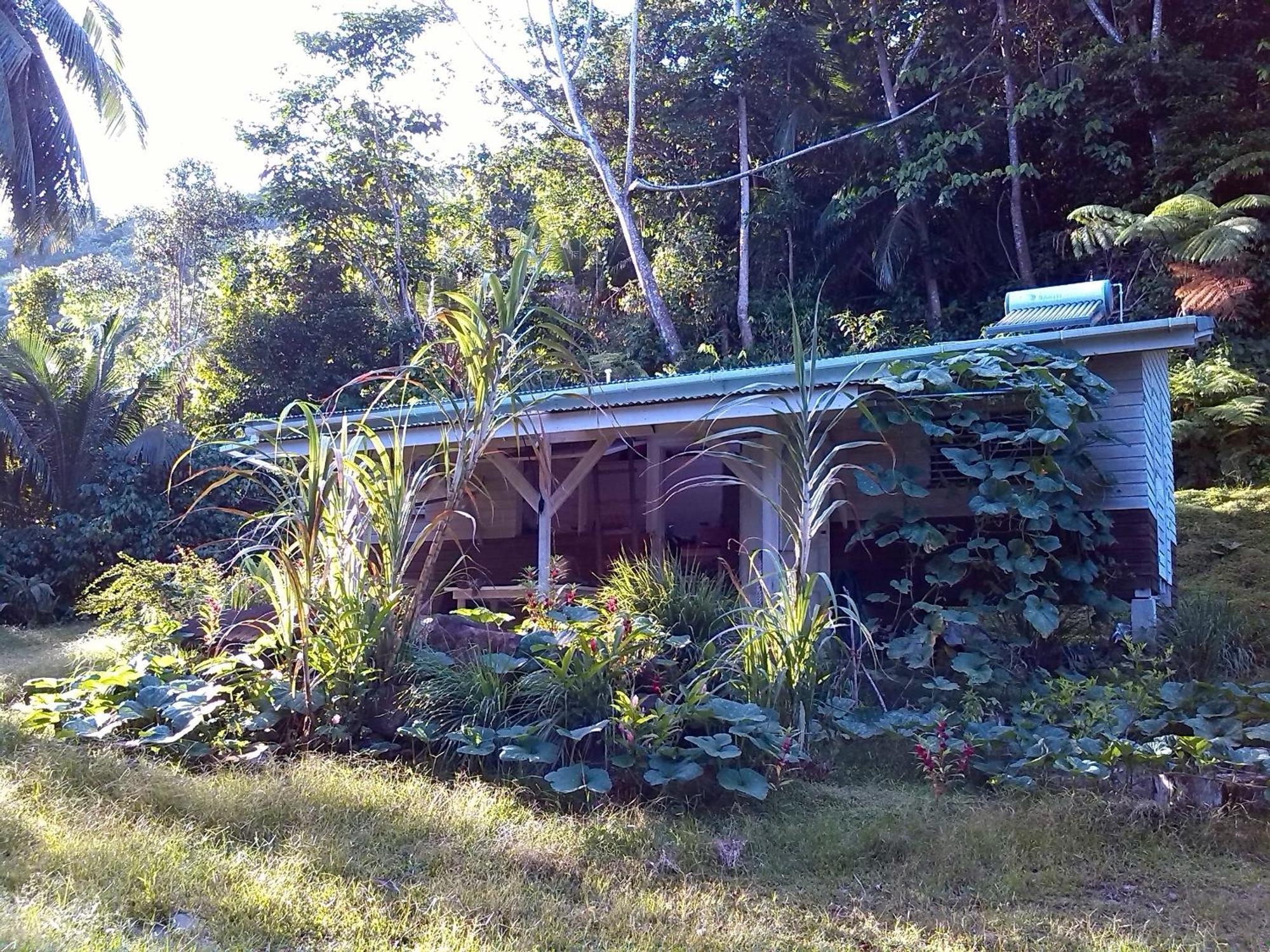 La Plaine Citrus Creek Plantation 빌라 객실 사진