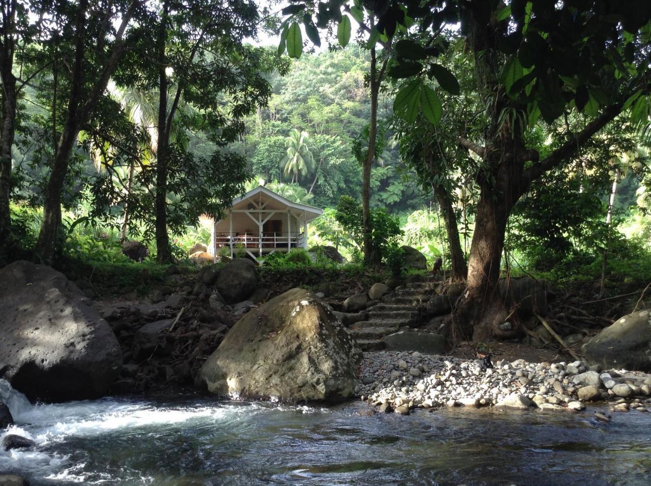 La Plaine Citrus Creek Plantation 빌라 외부 사진