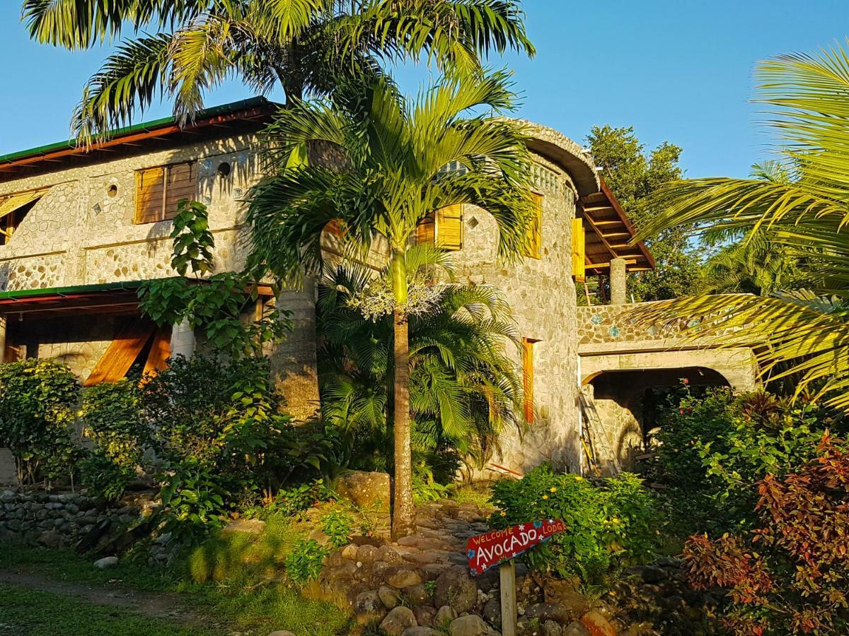 La Plaine Citrus Creek Plantation 빌라 외부 사진