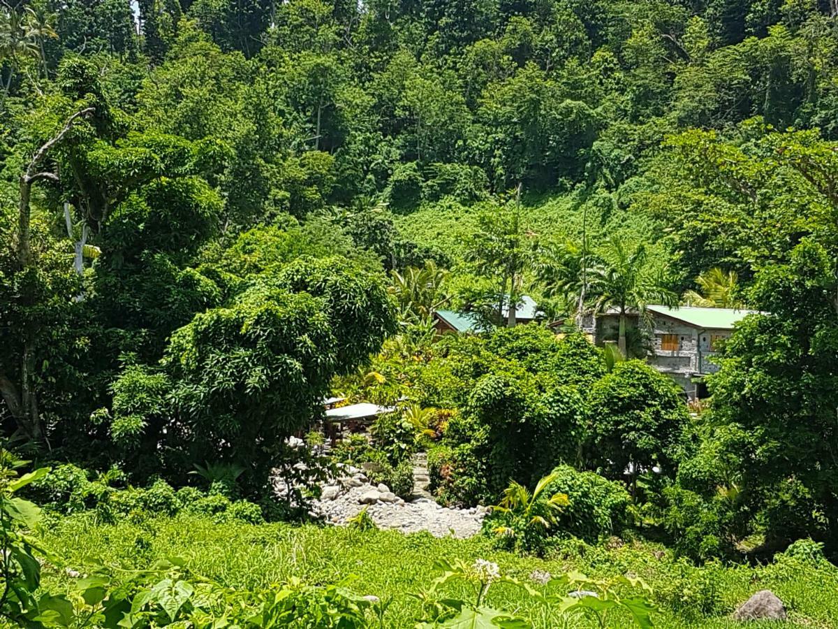 La Plaine Citrus Creek Plantation 빌라 외부 사진